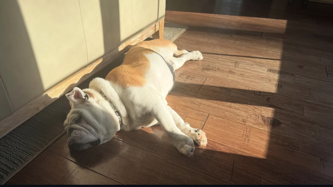 naps